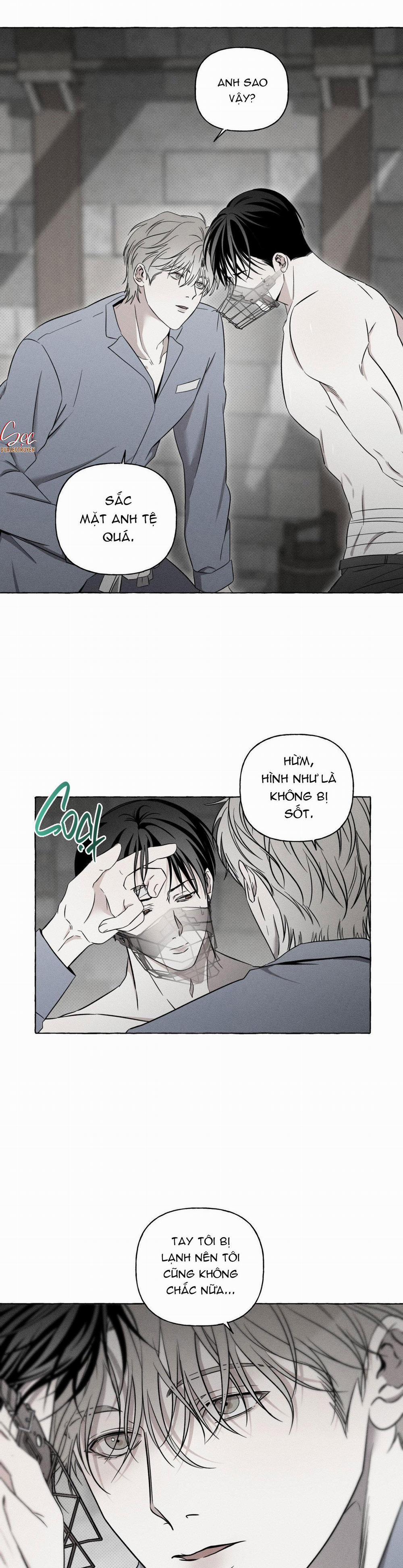 Xương Và Cánh Hoa 4 trang 22