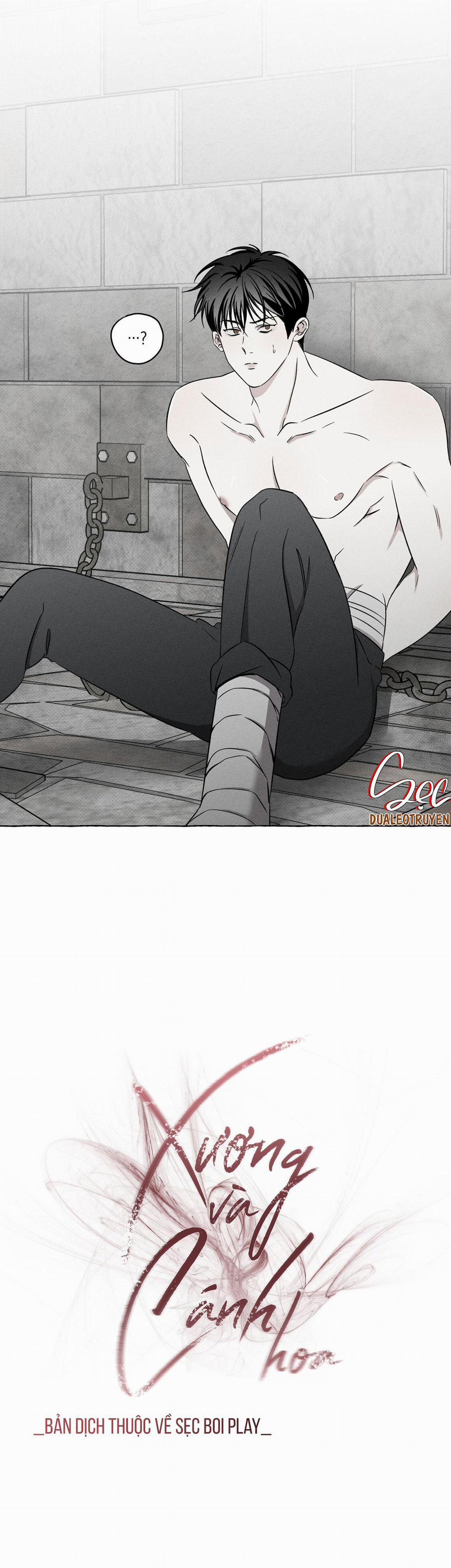 Xương Và Cánh Hoa 5 trang 17