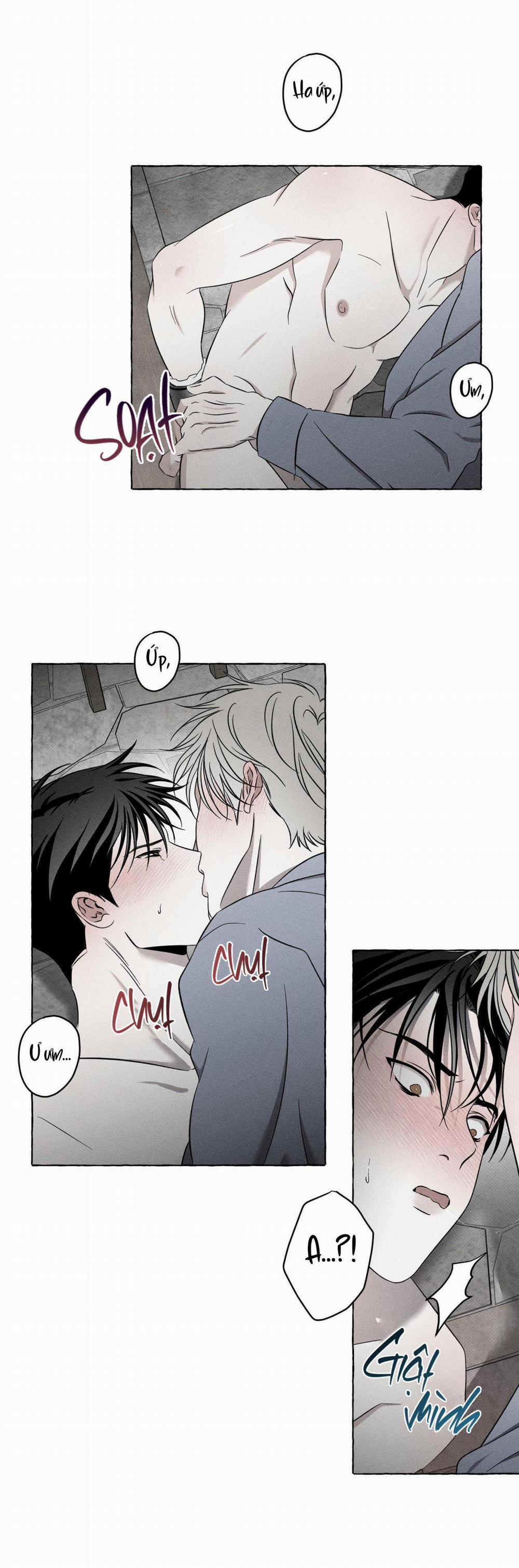 Xương Và Cánh Hoa 7 trang 11