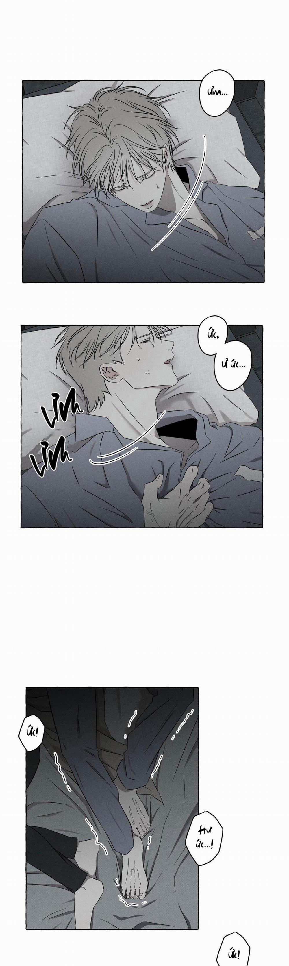 Xương Và Cánh Hoa 7 trang 29