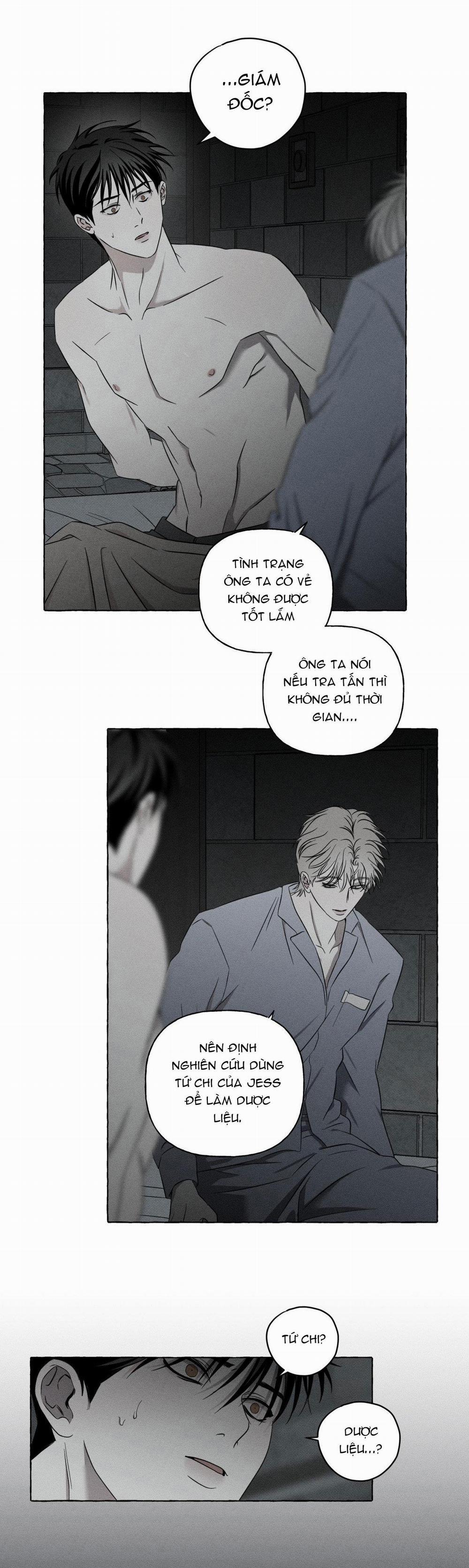 Xương Và Cánh Hoa 7 trang 41