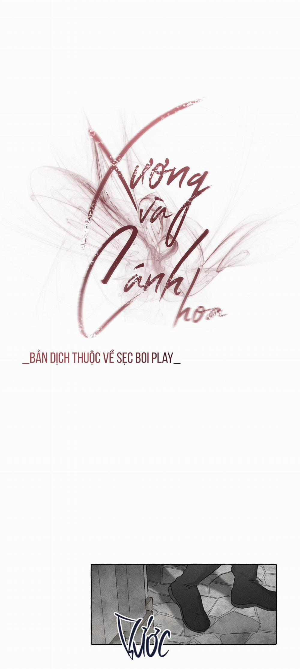 Xương Và Cánh Hoa 8 trang 13