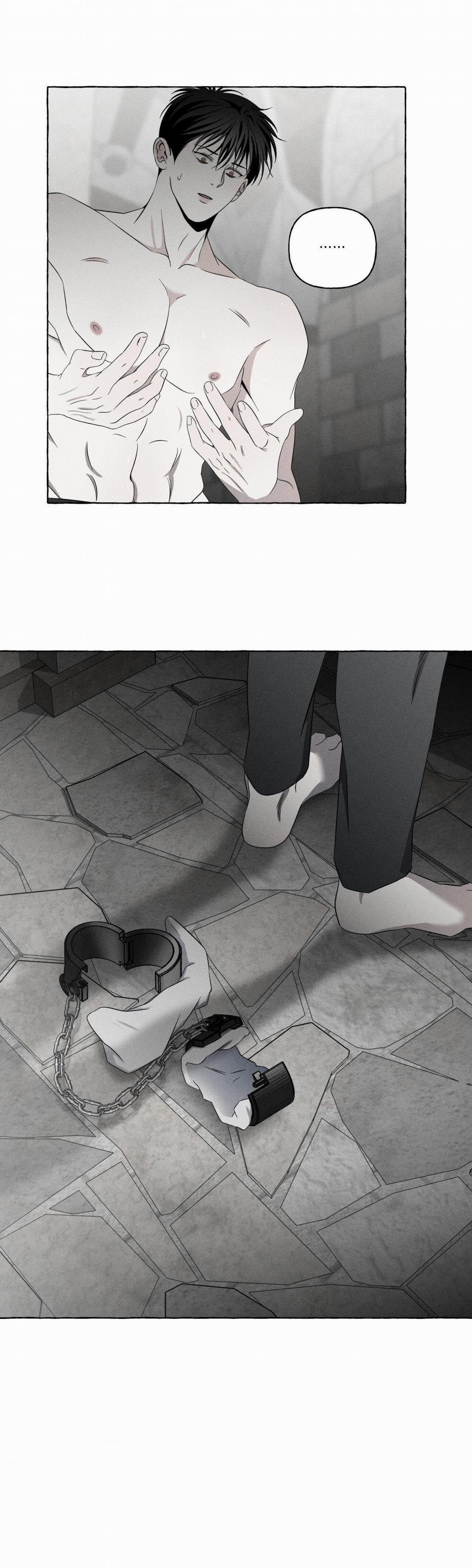 Xương Và Cánh Hoa 8 trang 29