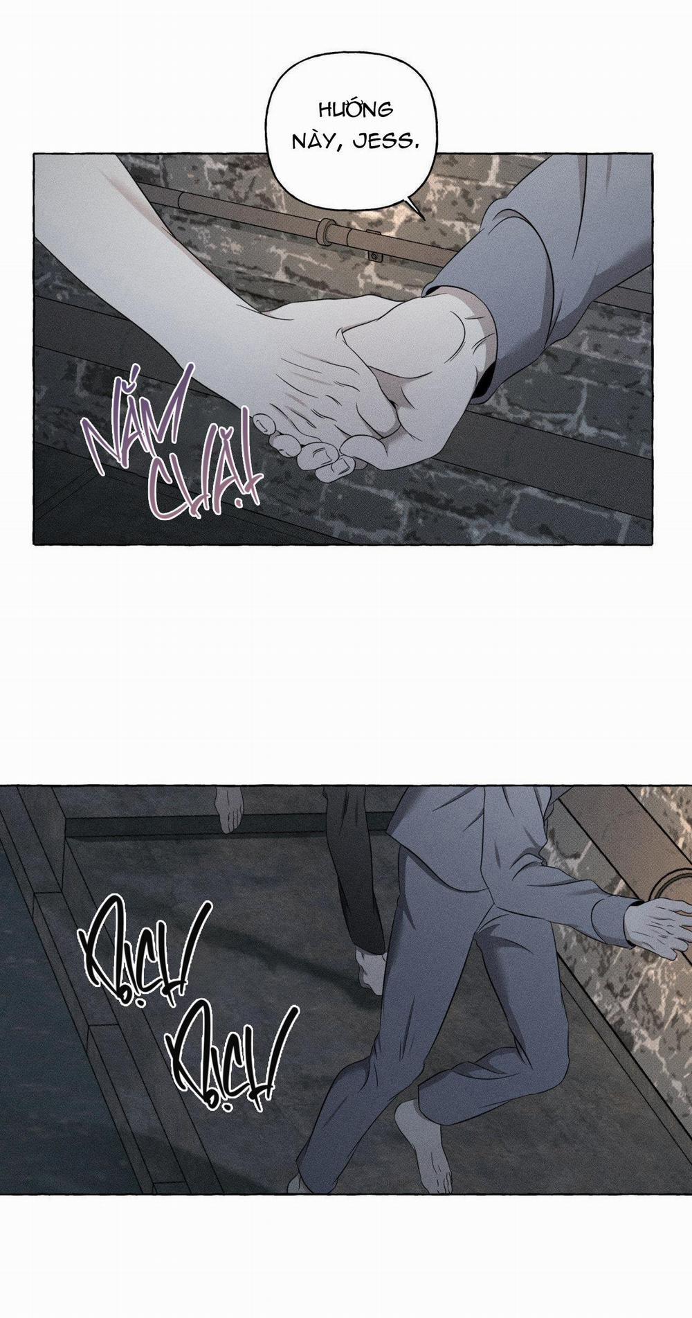 Xương Và Cánh Hoa 8 trang 39