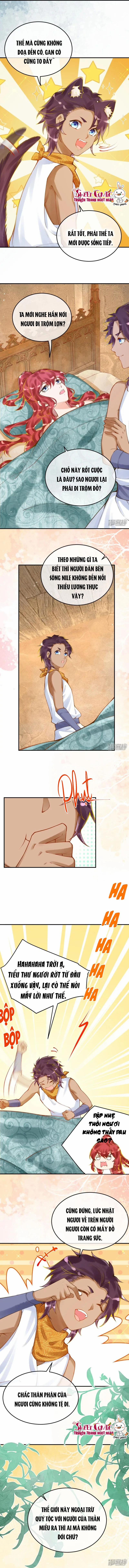 Xuyên Không Đến Ai Câp – Trở Thành Nàng Dâu Của Vua 33 trang 4