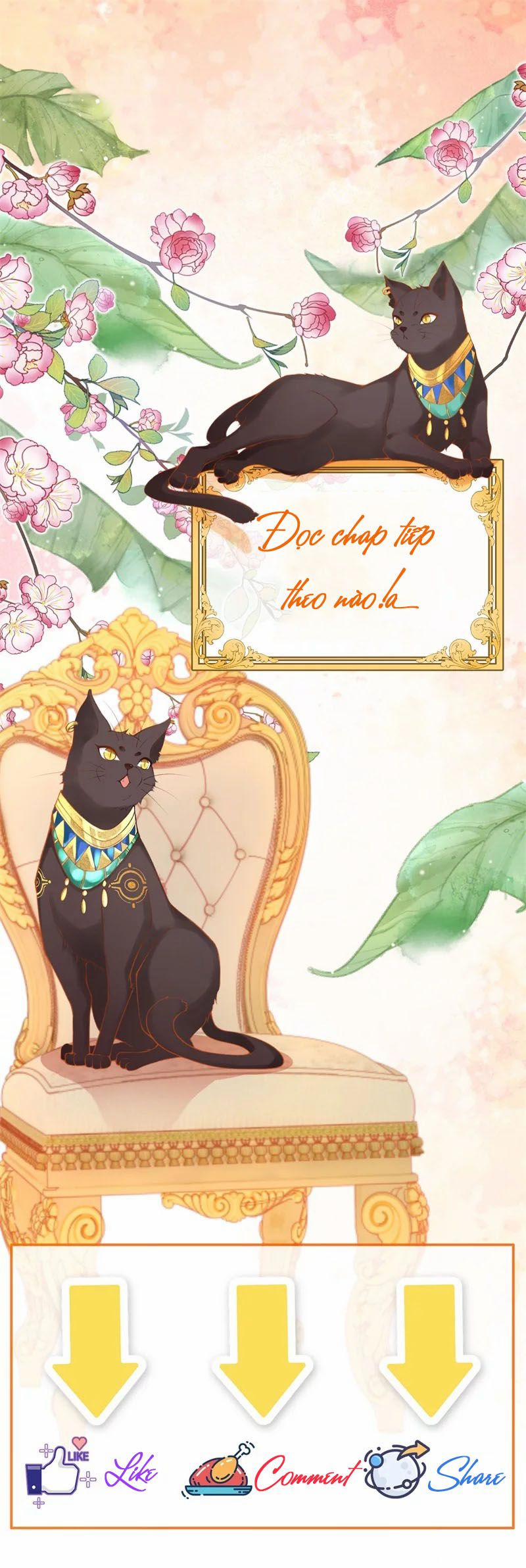 Xuyên Không Đến Ai Câp – Trở Thành Nàng Dâu Của Vua 33 trang 7