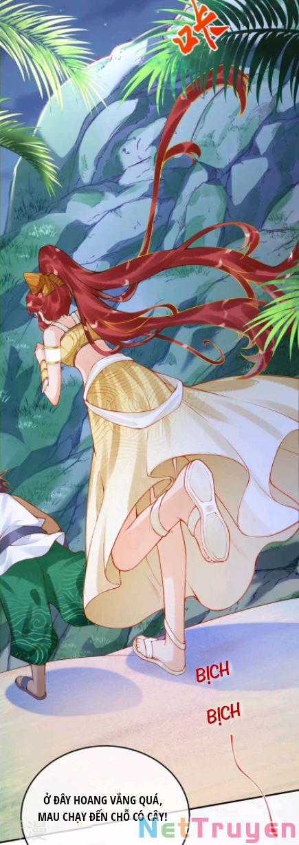 Xuyên Không Đến Ai Câp – Trở Thành Nàng Dâu Của Vua 45 trang 4