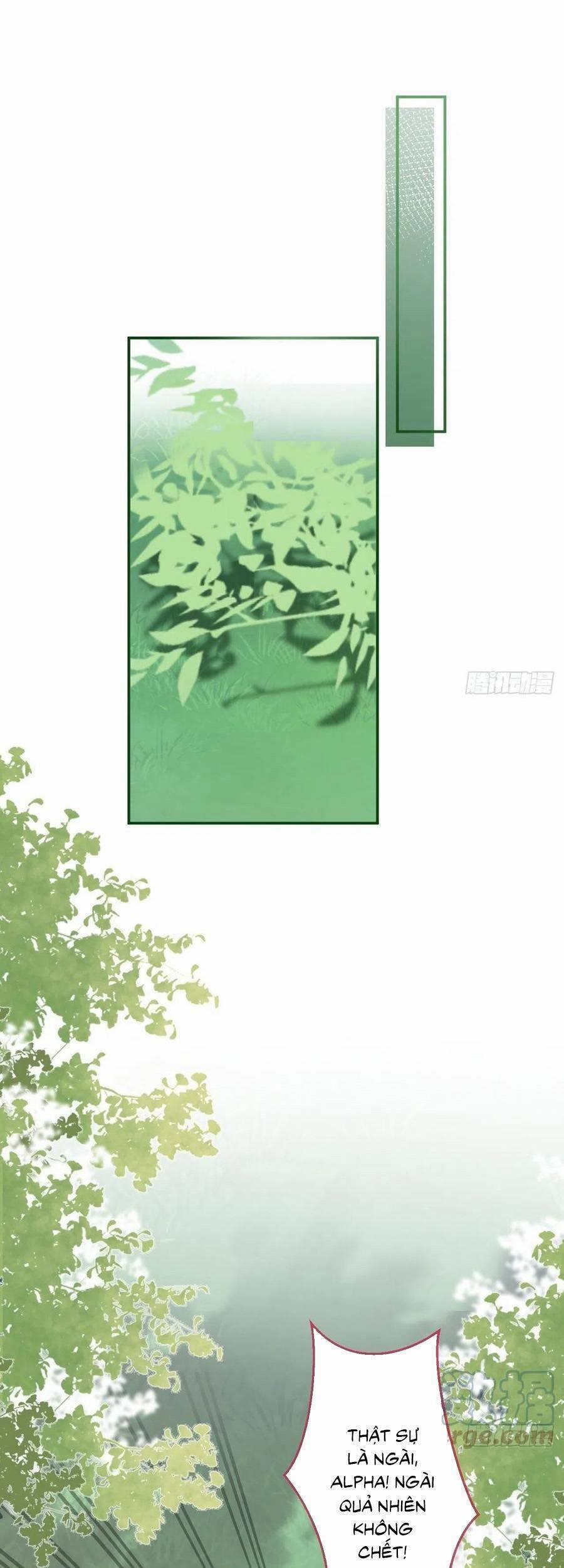 Xuyên Không Đến Thế Giới Trở Thành Đóa Hoa Của Anh 49 trang 1