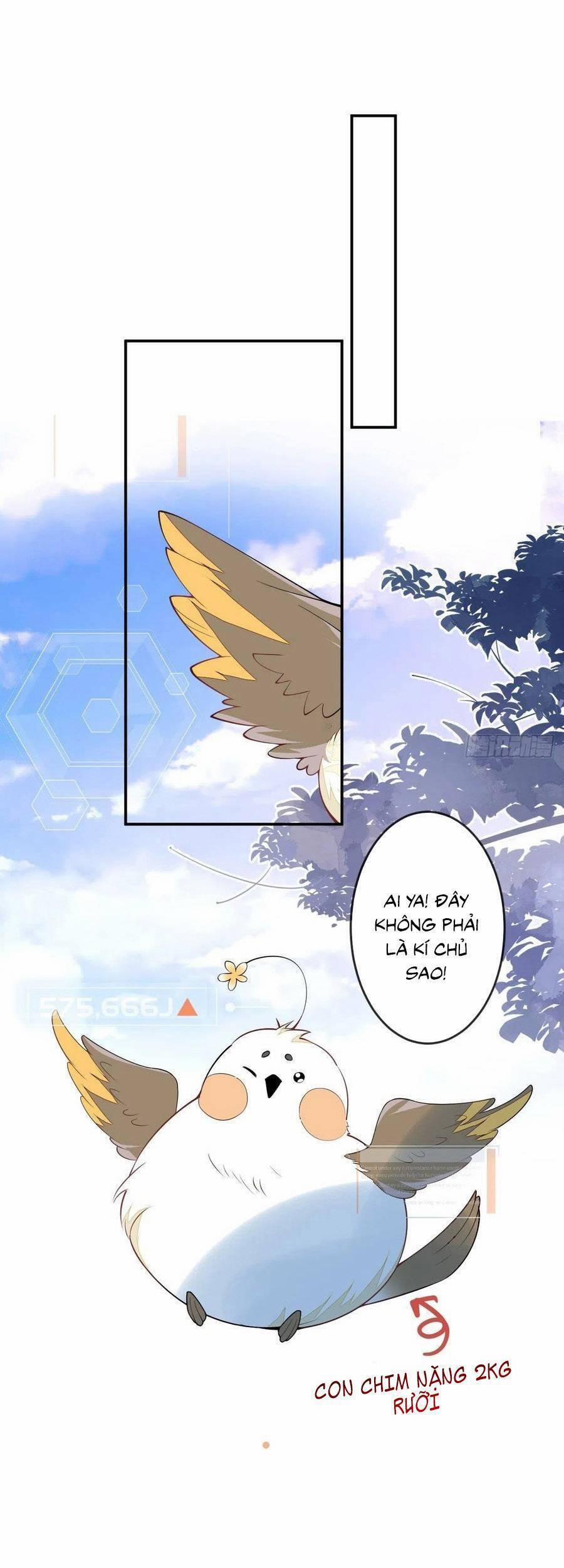 Xuyên Không Đến Thế Giới Trở Thành Đóa Hoa Của Anh 55 trang 1