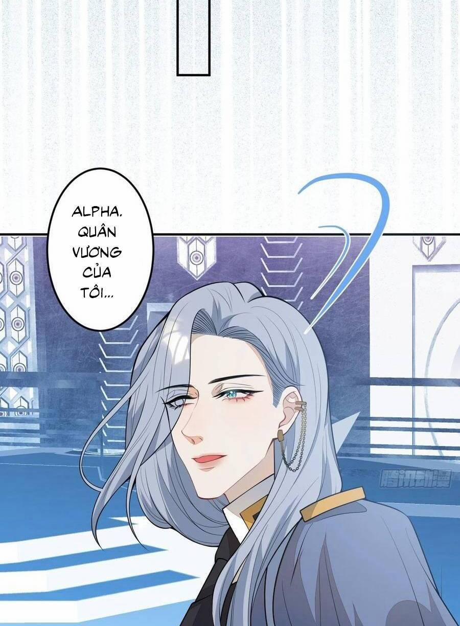 Xuyên Không Đến Thế Giới Trở Thành Đóa Hoa Của Anh 61 trang 13