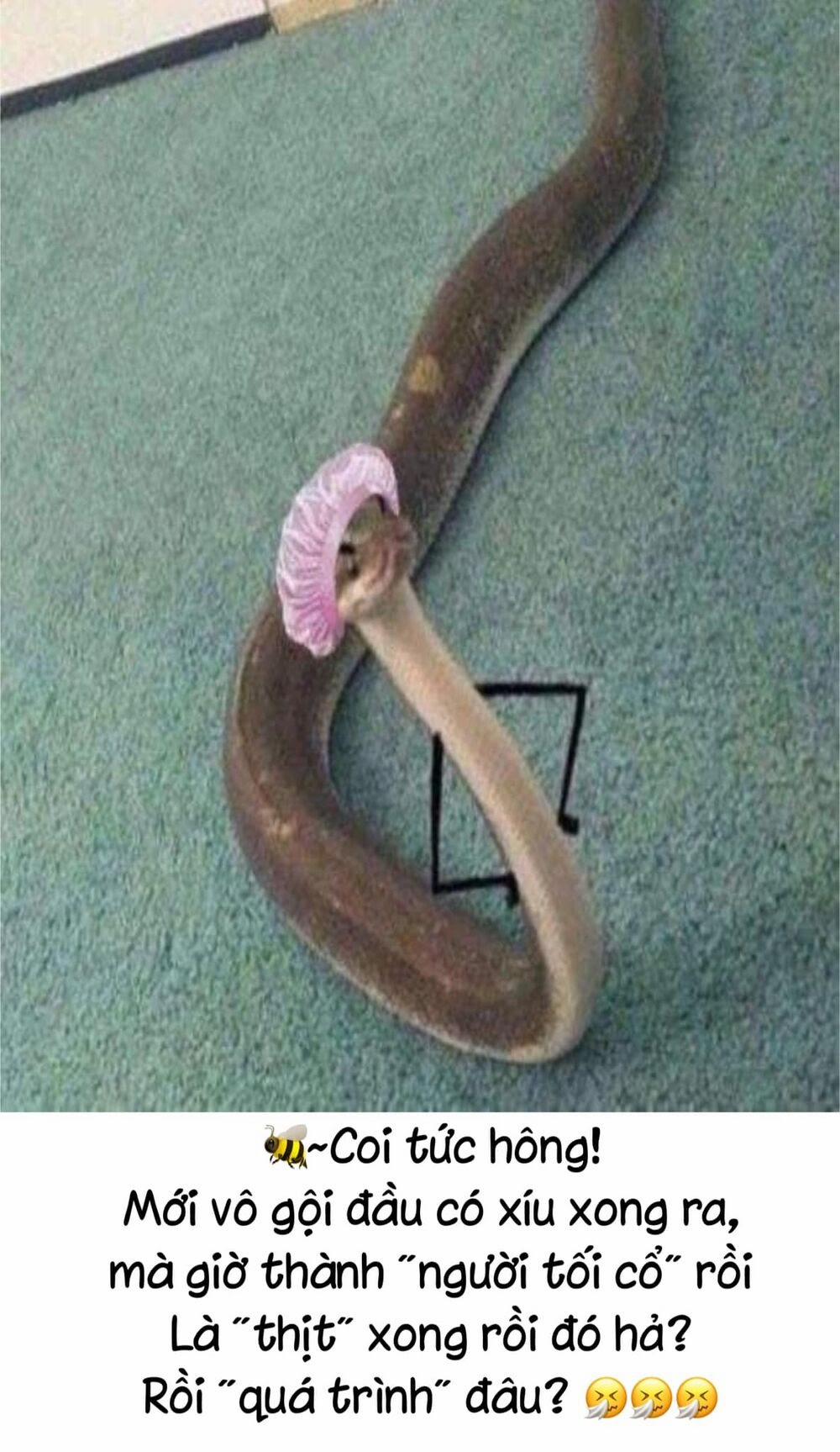 Xuyên Không Thành Mami Của Nhân Vật Phản Diện 46 trang 53