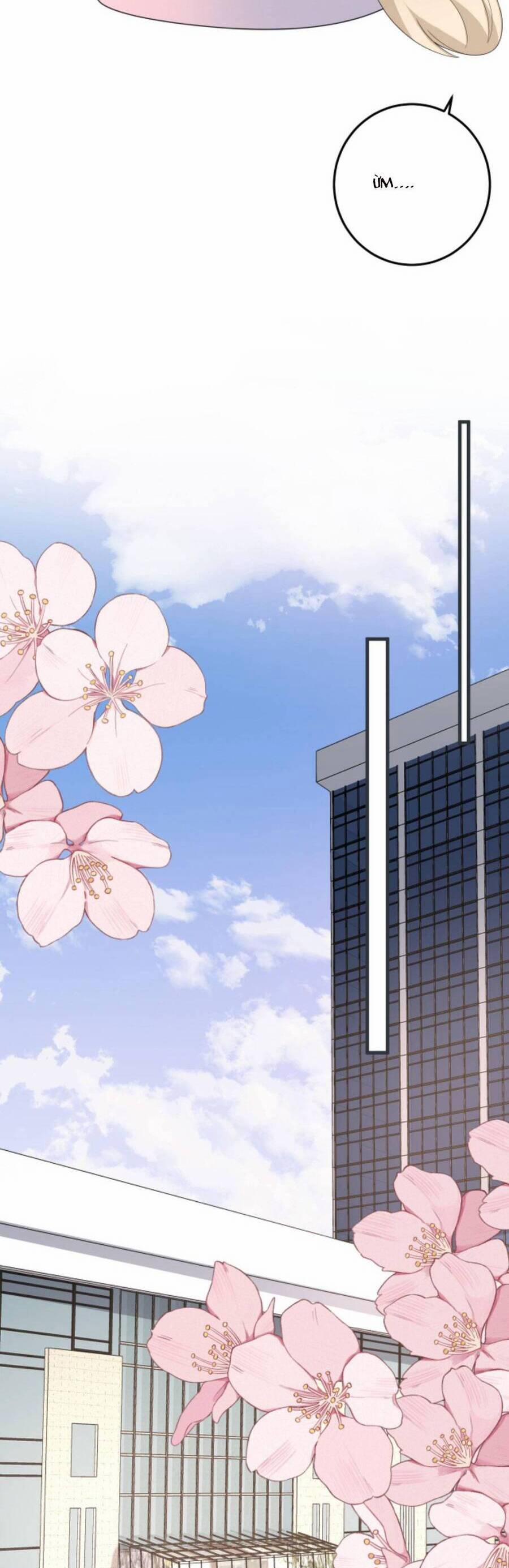 Xuyên Nhanh : Nhân Vật Phản Diện Quá Nuông Chiều Ta 58 trang 19