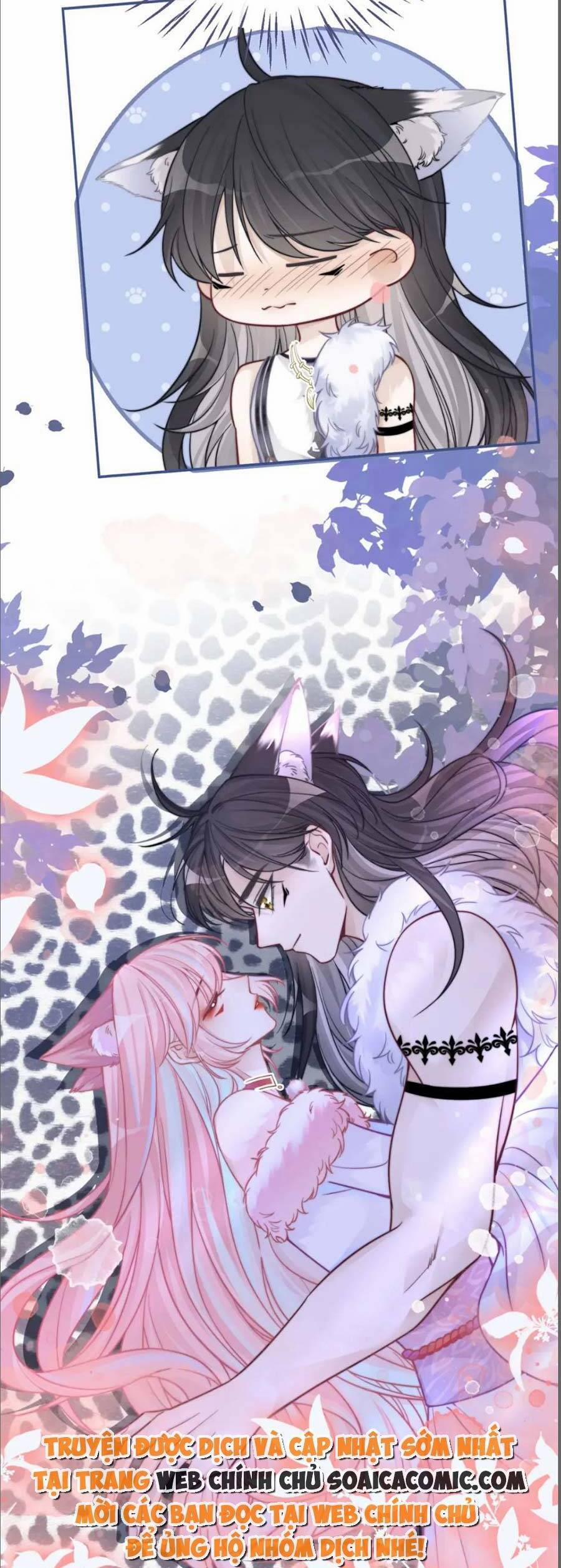 Xuyên Nhanh Nữ Phụ Bình Tĩnh Chút 155 trang 22