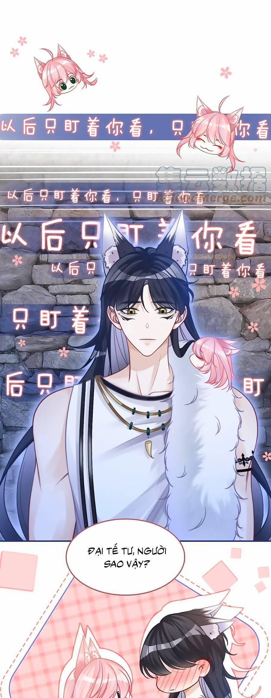 Xuyên Nhanh Nữ Phụ Bình Tĩnh Chút 157 trang 1