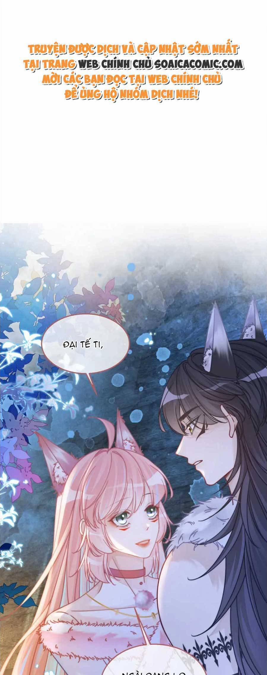 Xuyên Nhanh Nữ Phụ Bình Tĩnh Chút 162 trang 1