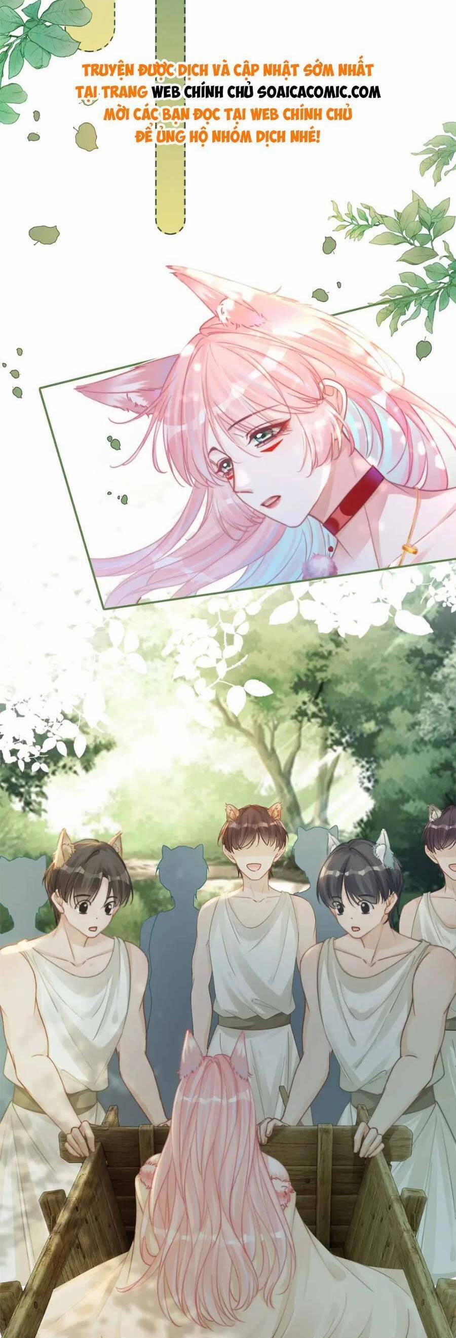 Xuyên Nhanh Nữ Phụ Bình Tĩnh Chút 168.1 trang 12