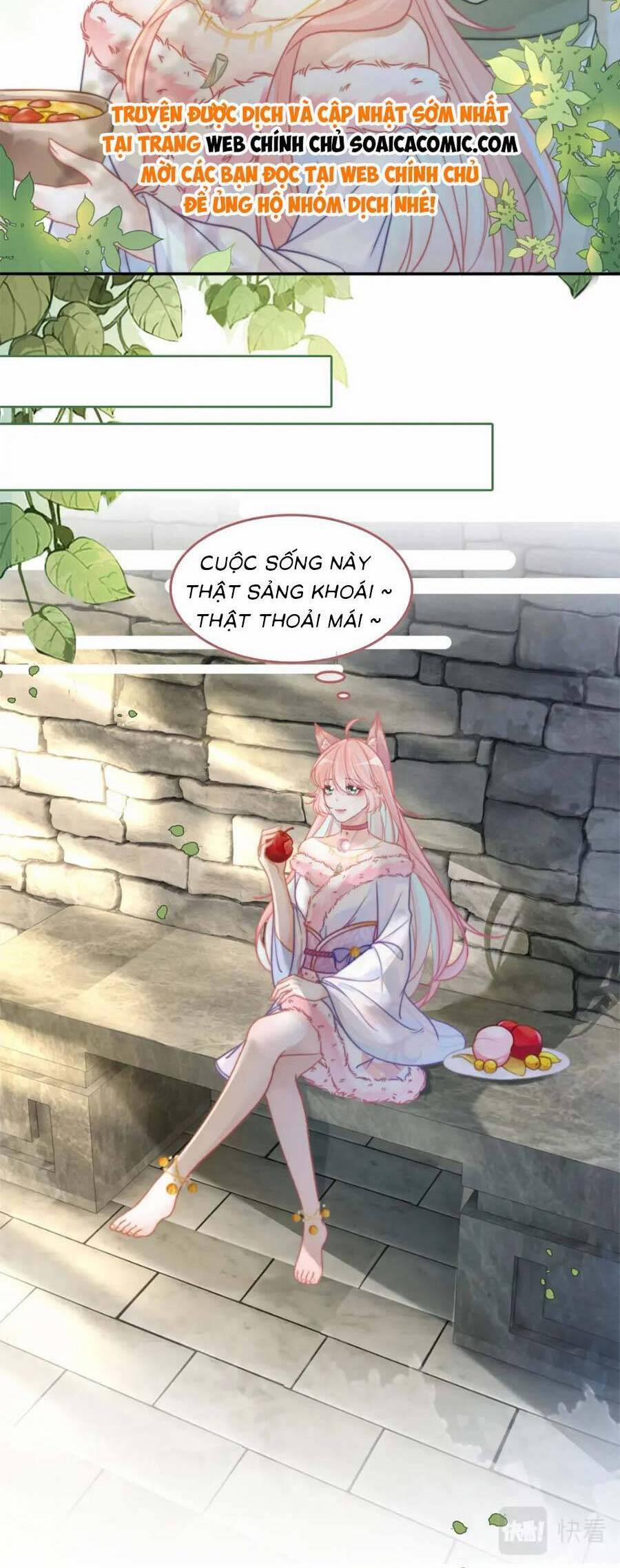 Xuyên Nhanh Nữ Phụ Bình Tĩnh Chút 168.2 trang 4