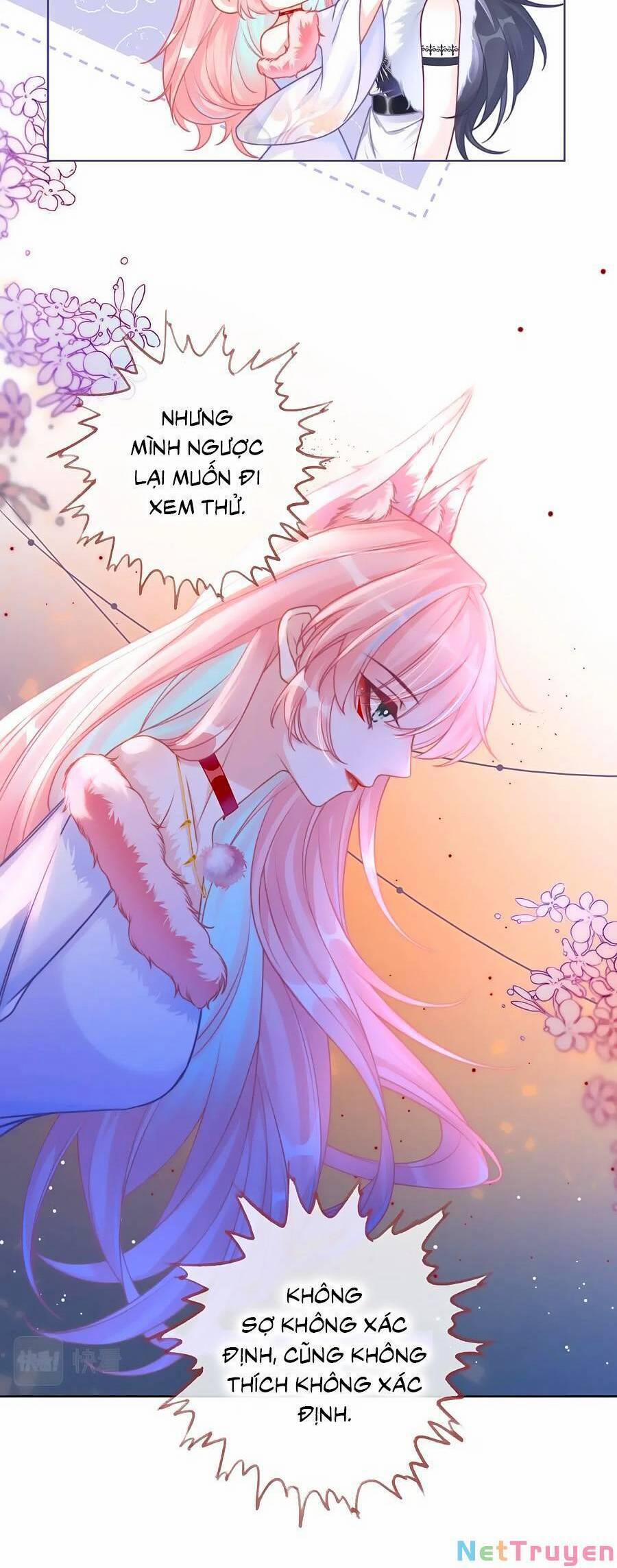 Xuyên Nhanh Nữ Phụ Bình Tĩnh Chút 170 trang 10