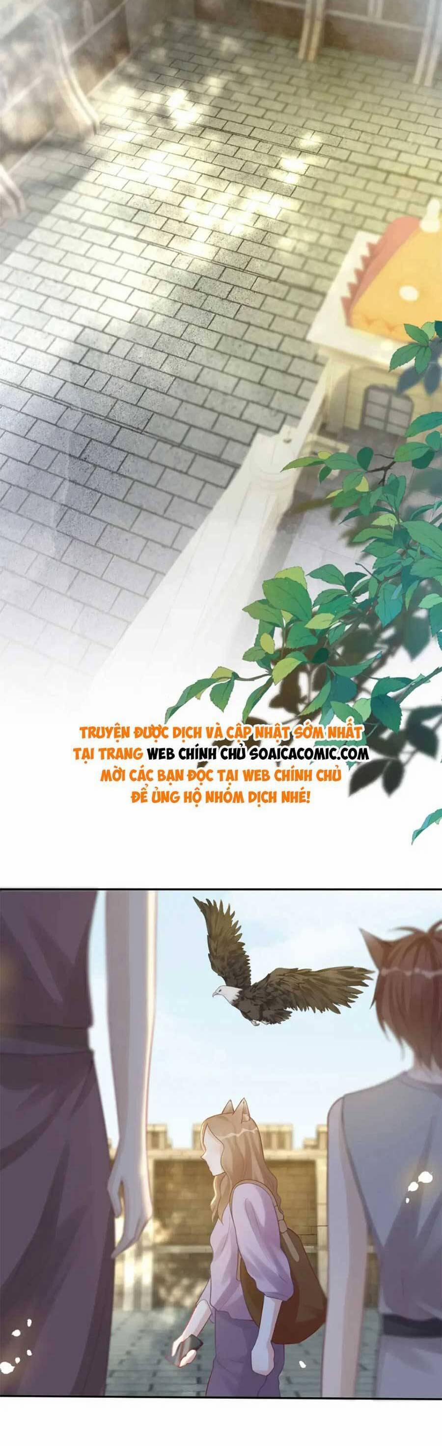 Xuyên Nhanh Nữ Phụ Bình Tĩnh Chút 174 trang 20