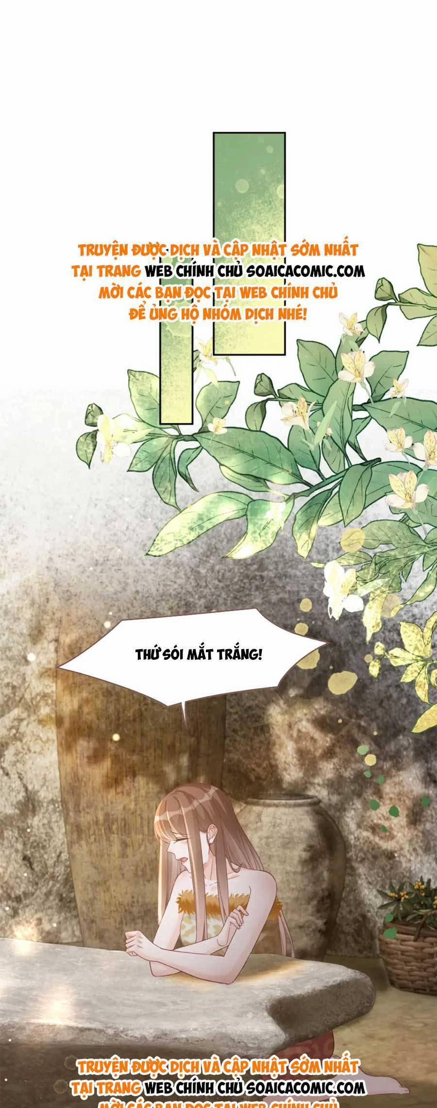 Xuyên Nhanh Nữ Phụ Bình Tĩnh Chút 175 trang 12