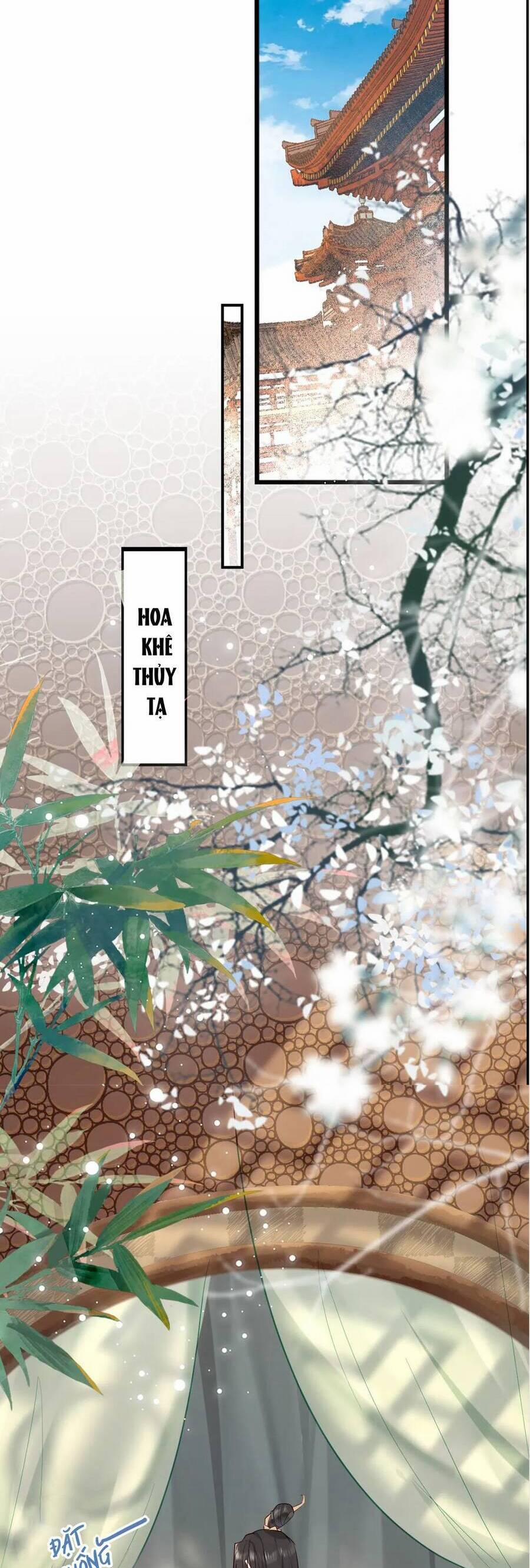 Xuyên Sách: Nghịch Đồ Lại Muốn Ức Hiếp Sư Phụ 3 trang 2