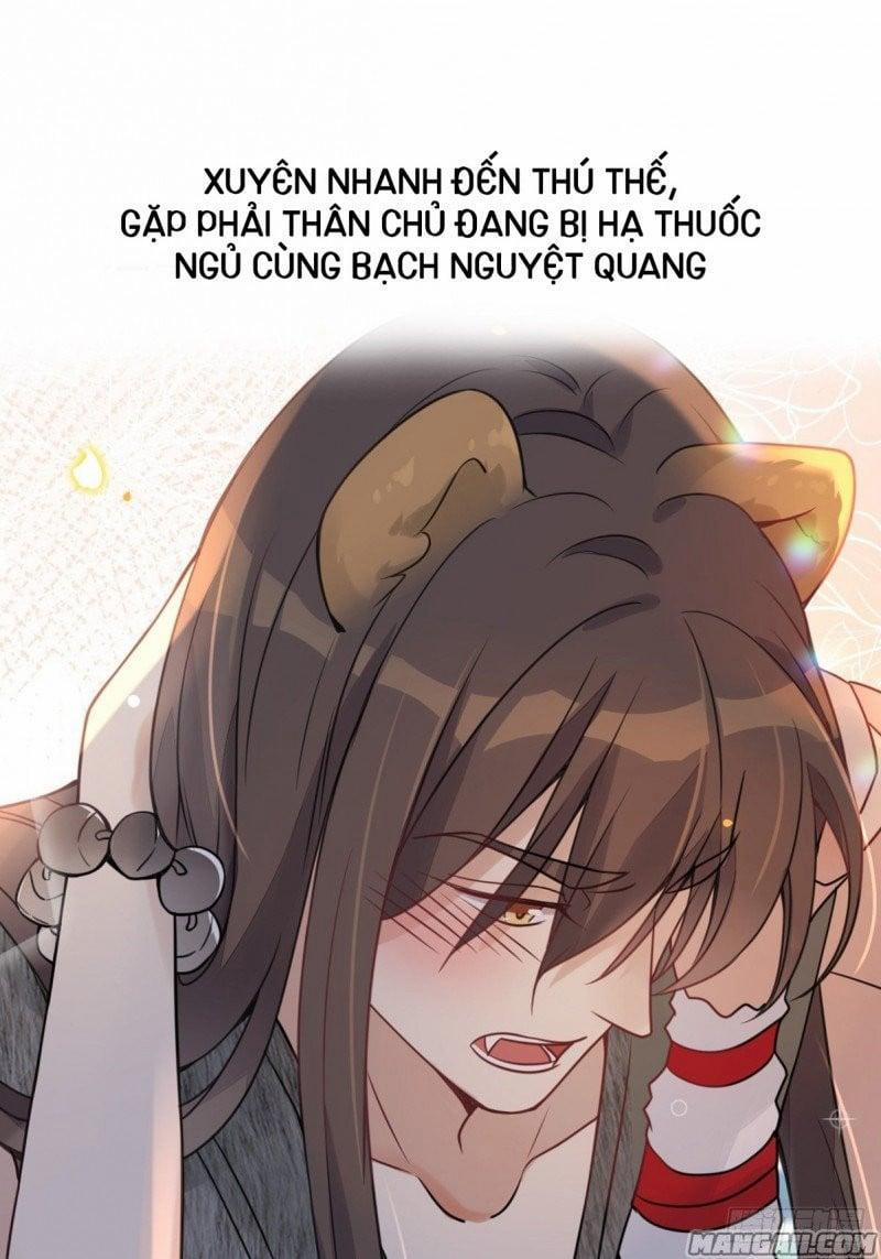 Xuyên Thành Kiều Thê Thú Nhân Làm Tui Phát Shock ! 1 trang 1