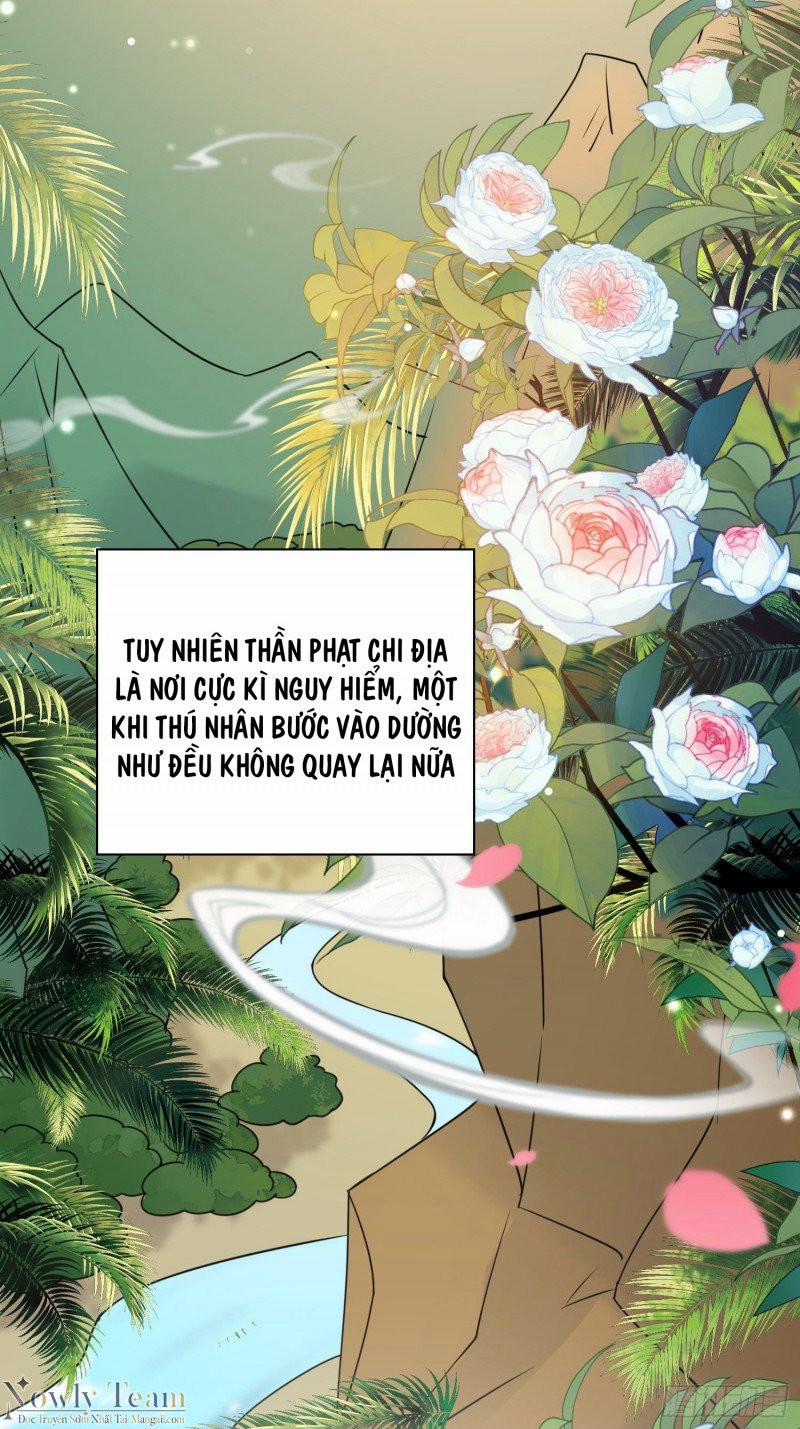 Xuyên Thành Kiều Thê Thú Nhân Làm Tui Phát Shock ! 2 trang 18