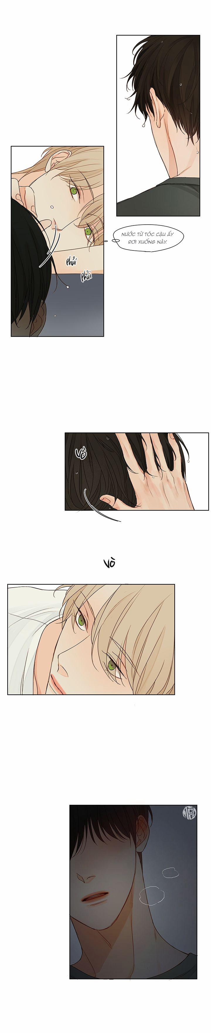 Ý Nghĩa Của Ánh Nhìn 2 trang 16