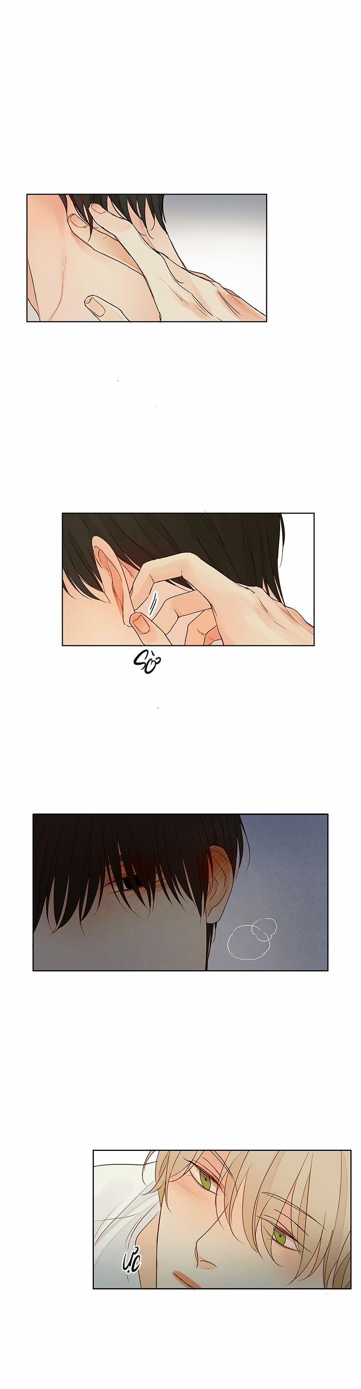 Ý Nghĩa Của Ánh Nhìn 2 trang 17