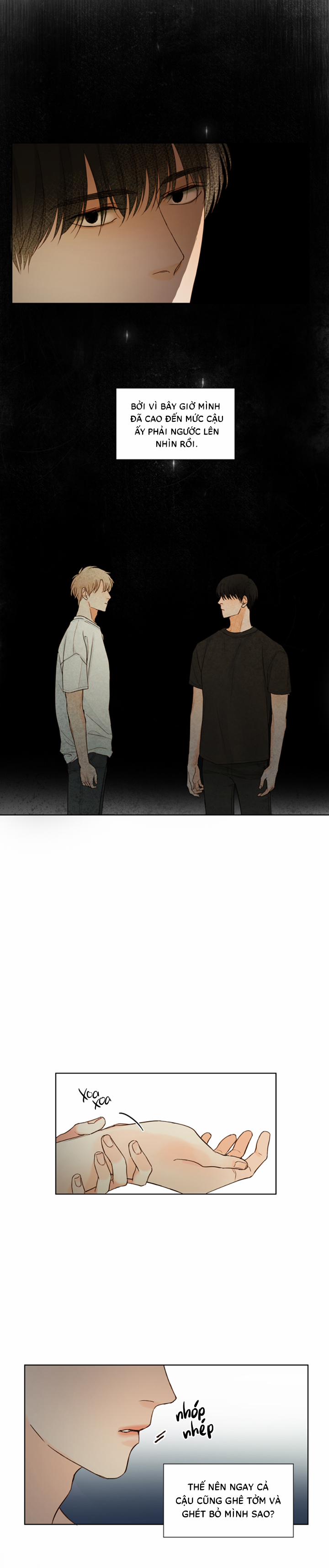 Ý Nghĩa Của Ánh Nhìn 3 trang 17