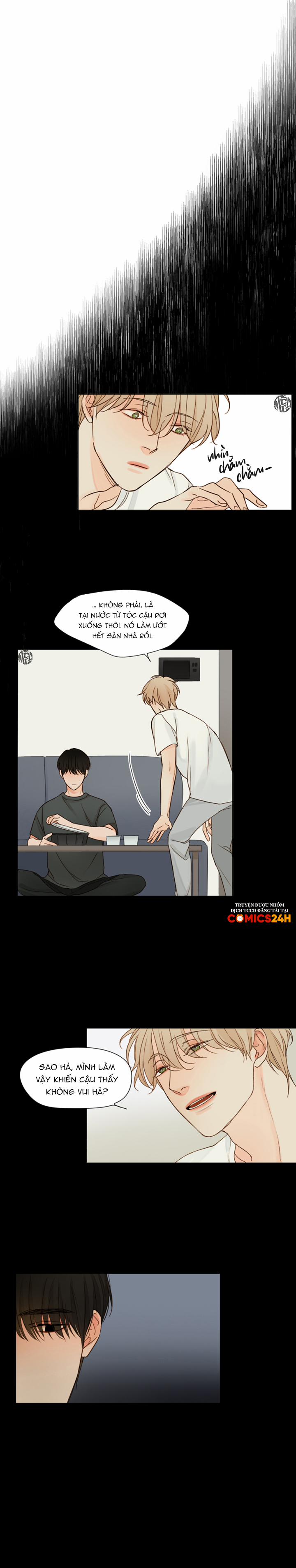 Ý Nghĩa Của Ánh Nhìn 3 trang 4