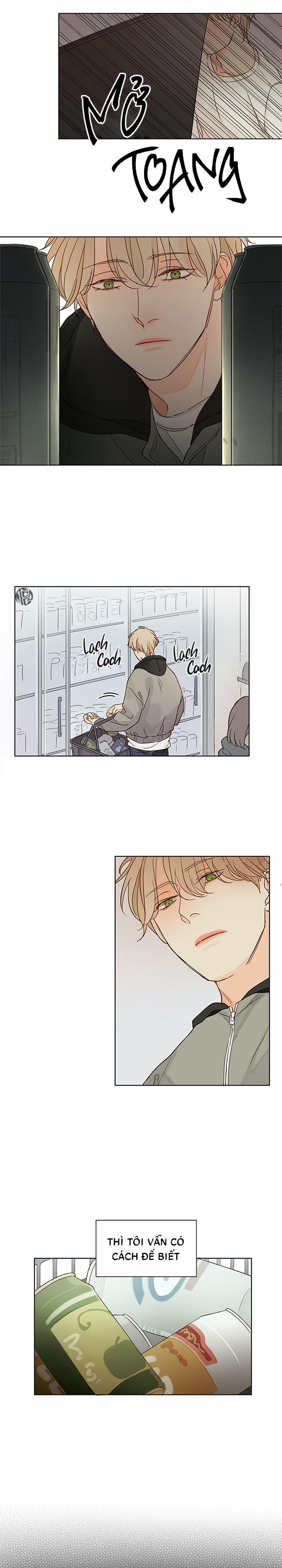 Ý Nghĩa Của Ánh Nhìn 4 trang 4