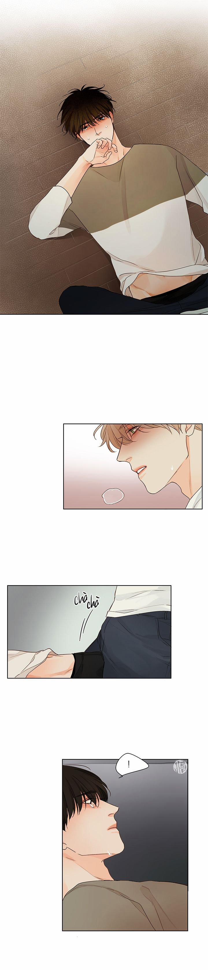 Ý Nghĩa Của Ánh Nhìn 5 trang 10