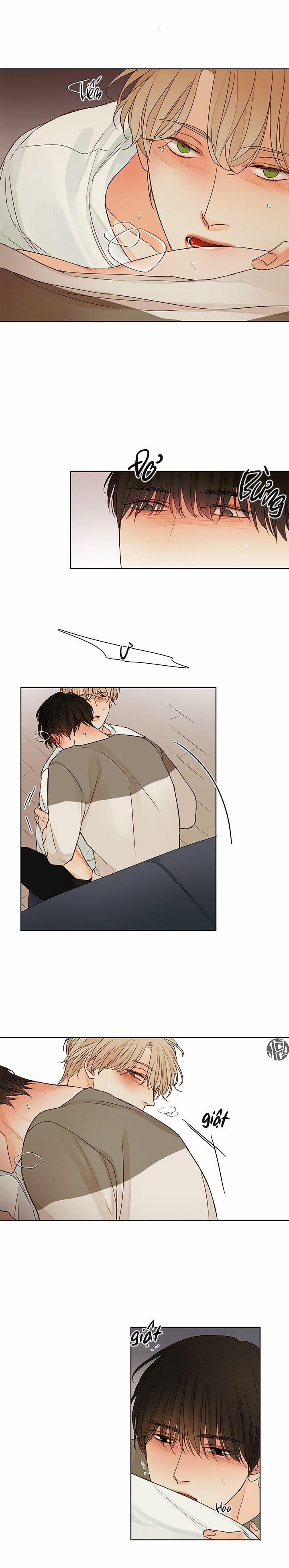 Ý Nghĩa Của Ánh Nhìn 5 trang 15