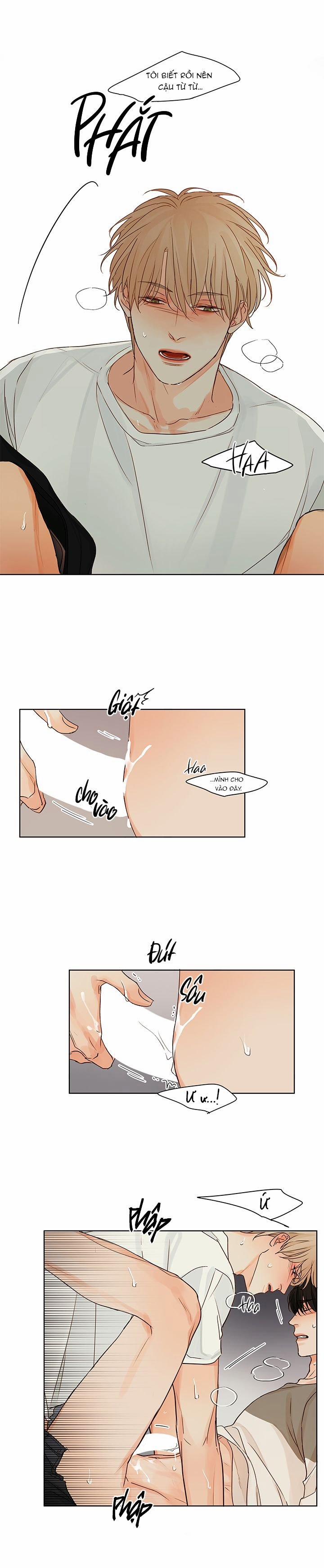 Ý Nghĩa Của Ánh Nhìn 5 trang 17