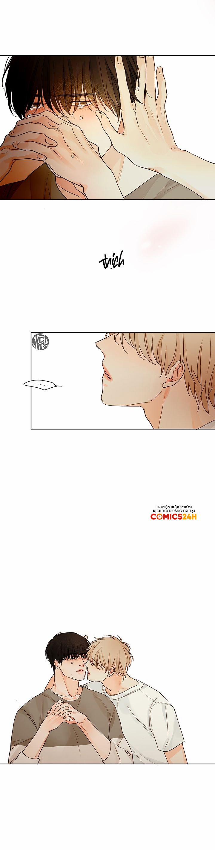 Ý Nghĩa Của Ánh Nhìn 5 trang 8