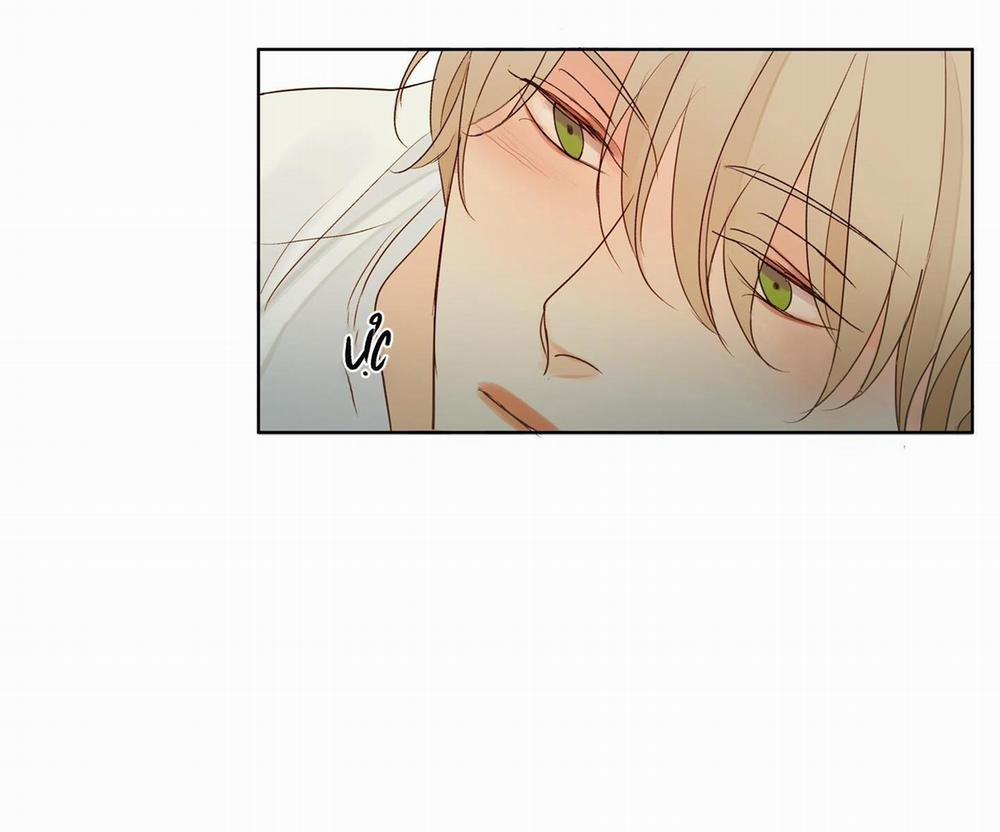 Ý nghĩa của một ánh nhìn 2 trang 51