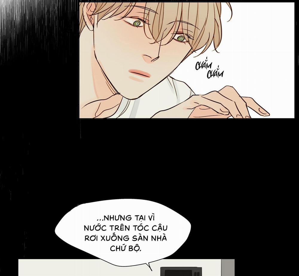 Ý nghĩa của một ánh nhìn 3 trang 14