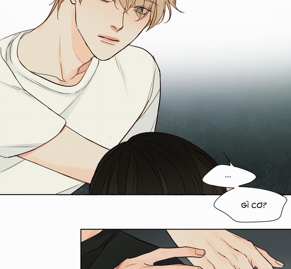 Ý nghĩa của một ánh nhìn 3 trang 4