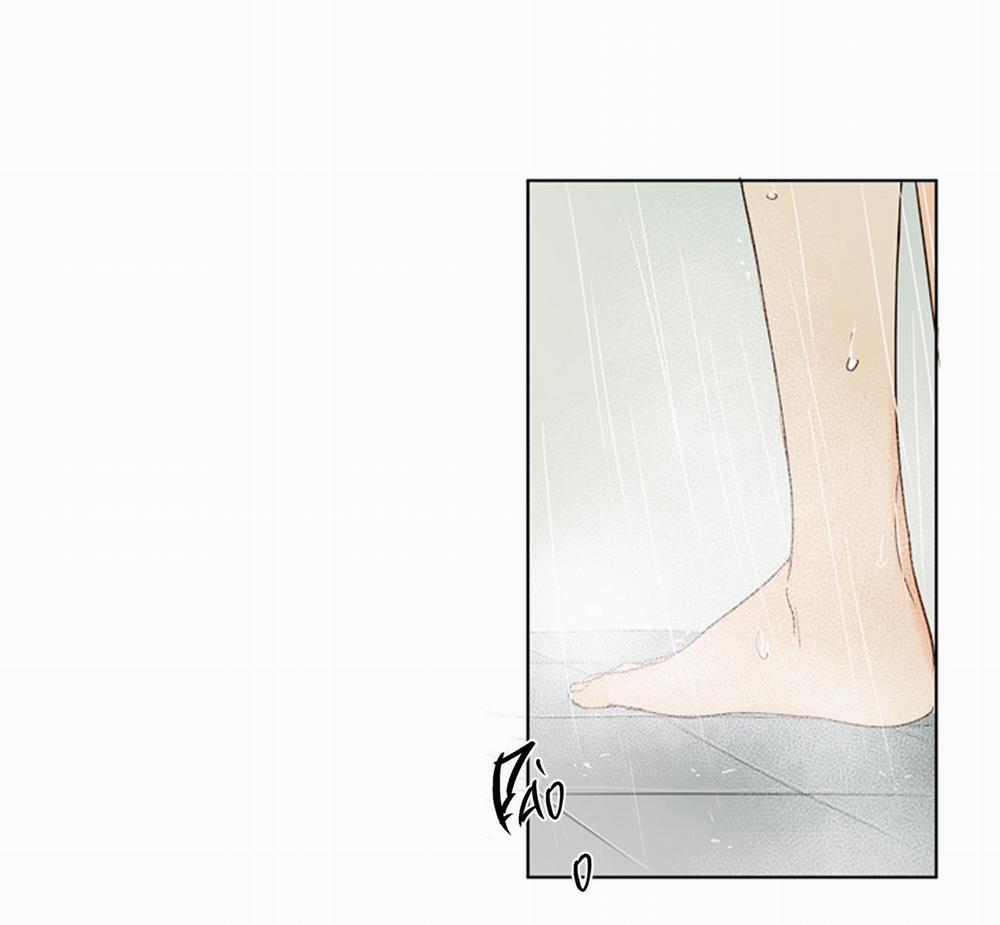 Ý nghĩa của một ánh nhìn 4 trang 1