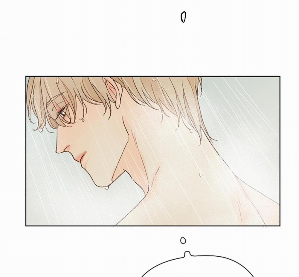 Ý nghĩa của một ánh nhìn 4 trang 2