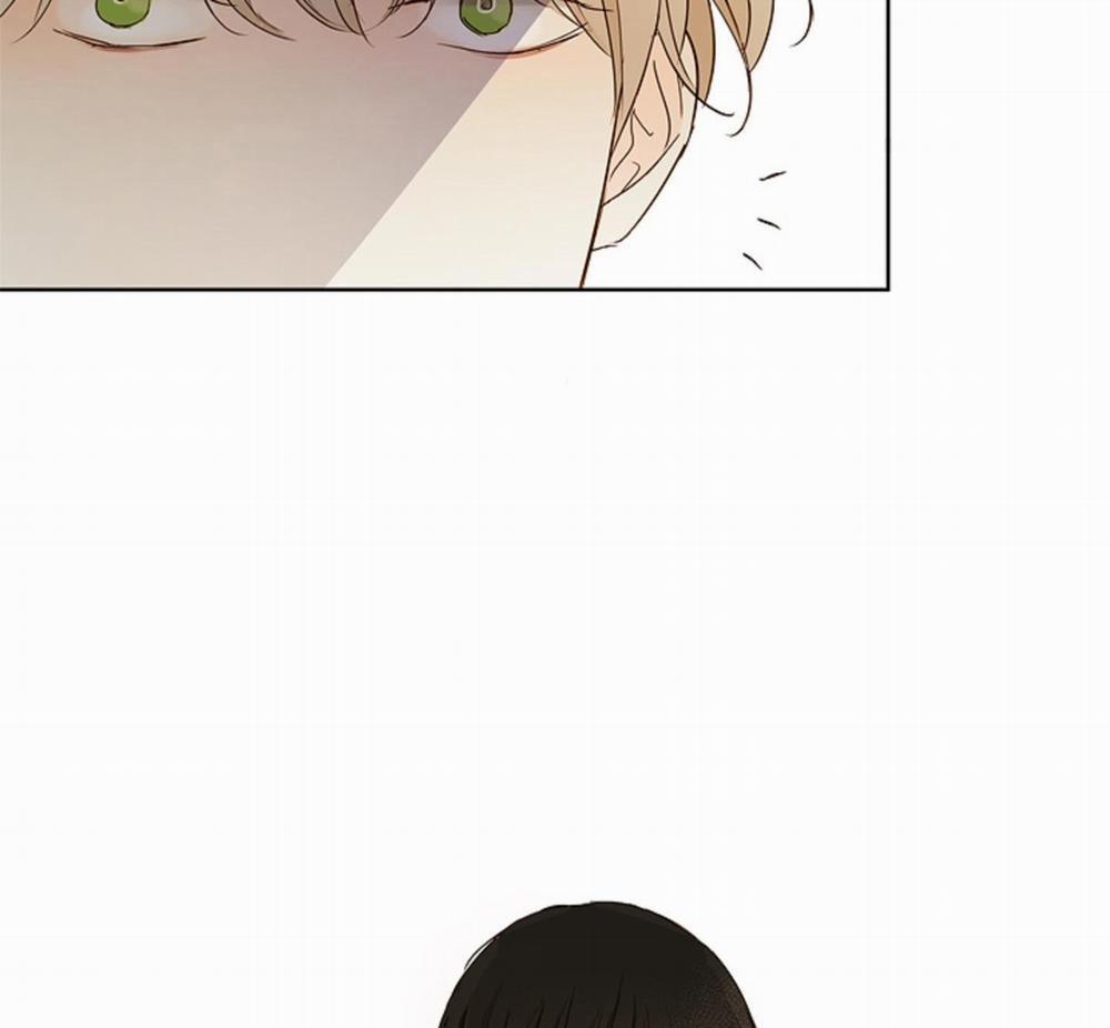 Ý nghĩa của một ánh nhìn 4 trang 42