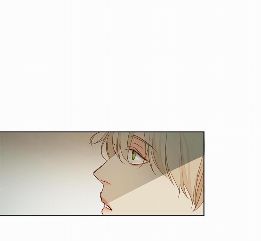 Ý nghĩa của một ánh nhìn 4 trang 44