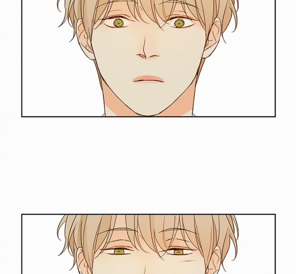 Ý nghĩa của một ánh nhìn 4 trang 53