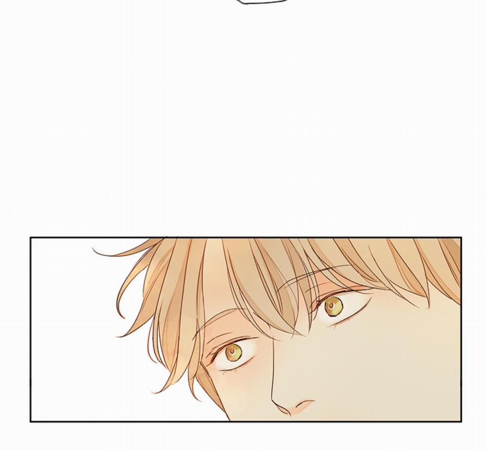 Ý nghĩa của một ánh nhìn 4 trang 58