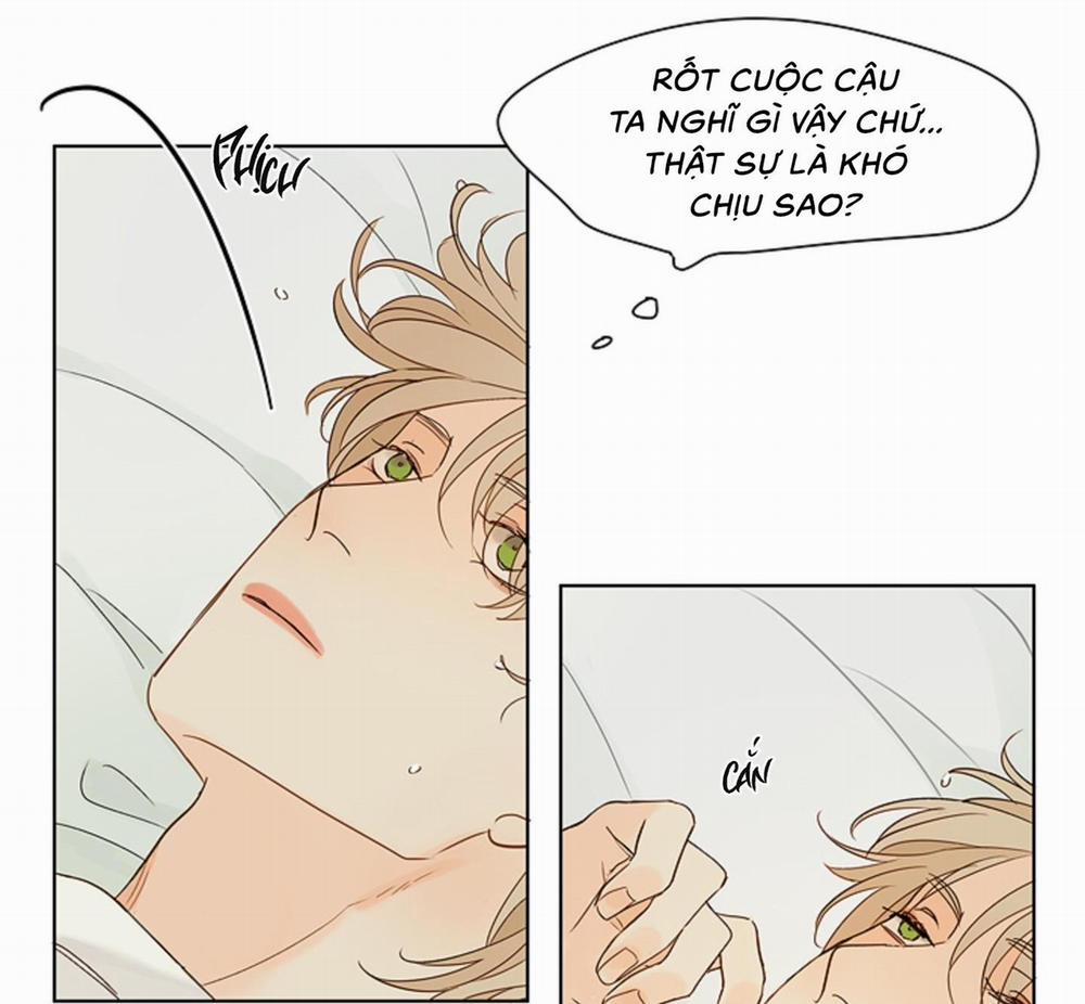 Ý nghĩa của một ánh nhìn 4 trang 6