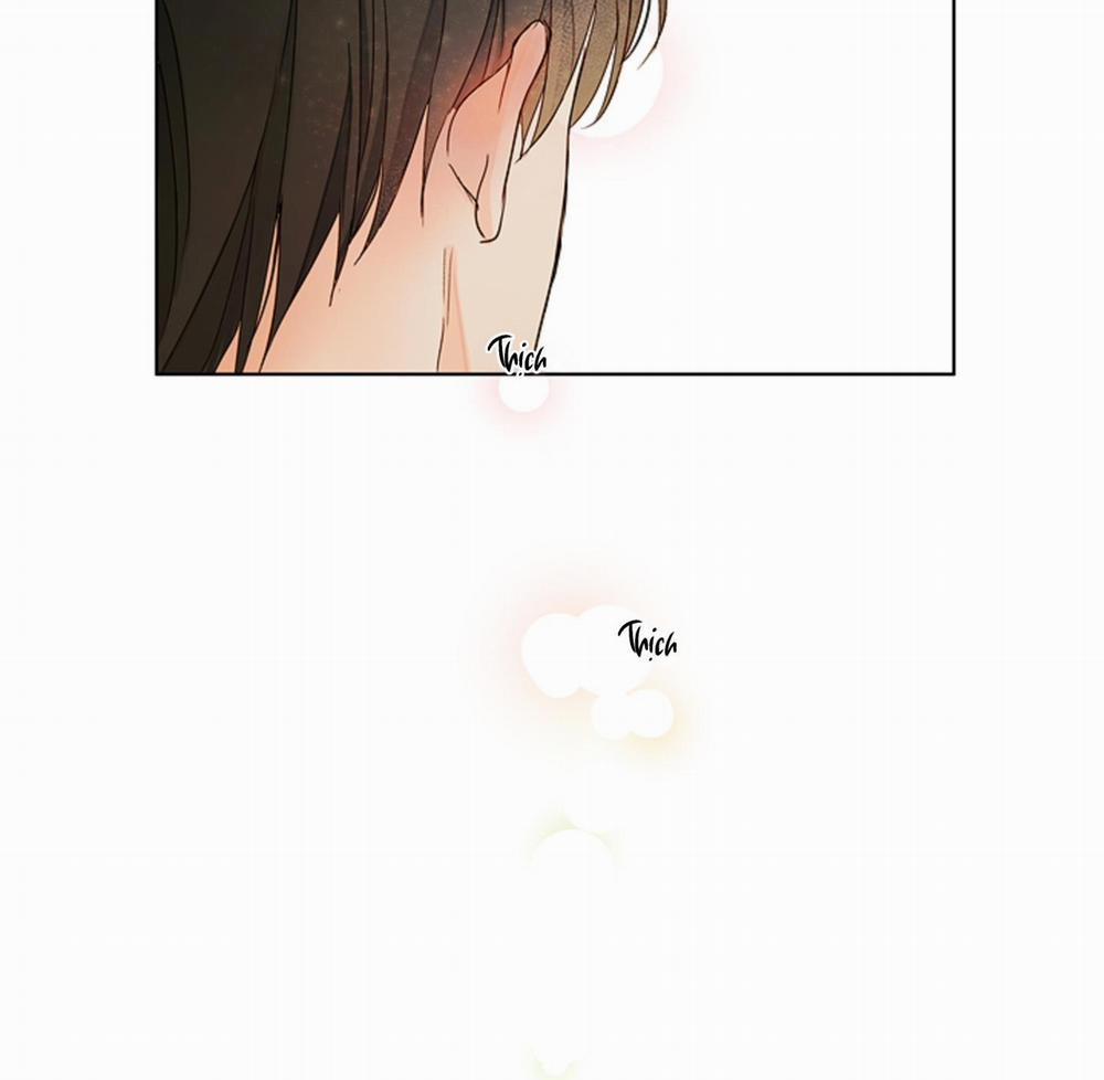 Ý nghĩa của một ánh nhìn 4 trang 79