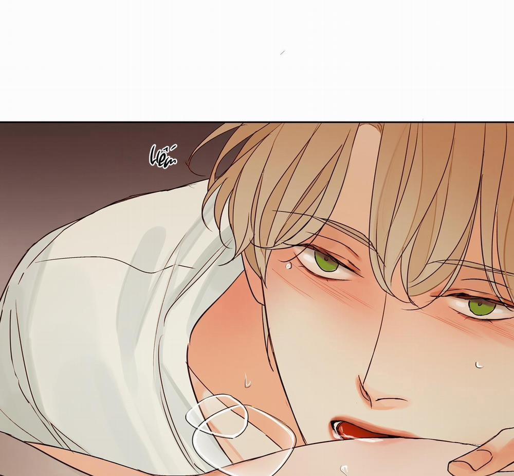 Ý nghĩa của một ánh nhìn 5 END trang 64