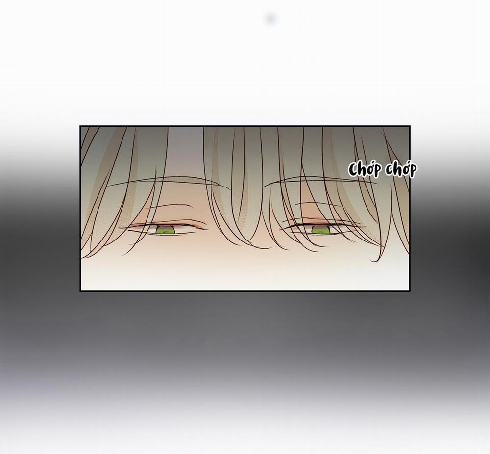 Ý nghĩa của một ánh nhìn 5 END trang 88