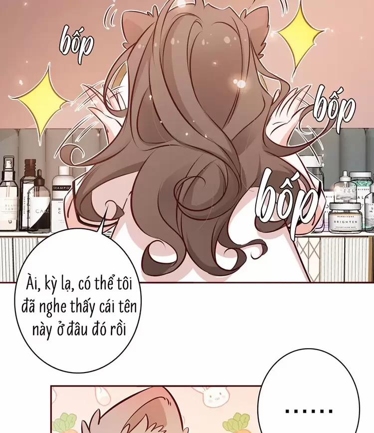 Yêu Anh, Bất Kể Giới Tính 13 trang 11